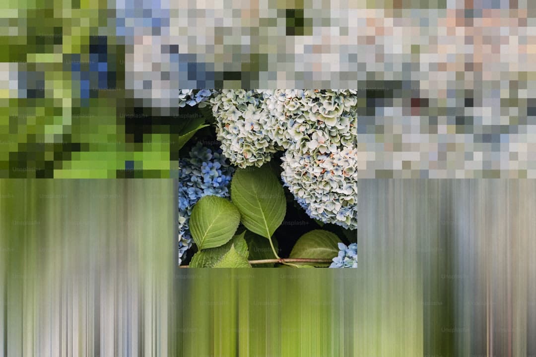 行囊已装满！第一批“鲤行家”，行将动身！